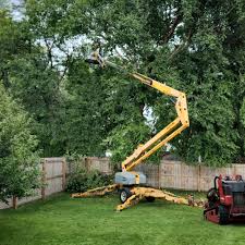 Best Landscape Design and Installation  in Los Altos, CA