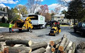 Best Lawn Drainage Solutions  in Los Altos, CA