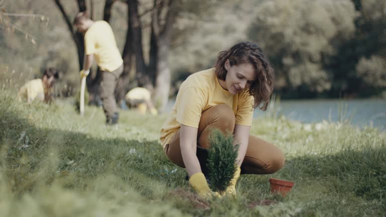 Best Lawn Watering Services  in Los Altos, CA